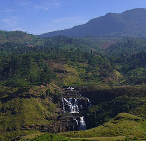 landscape viewing from sigiriya

